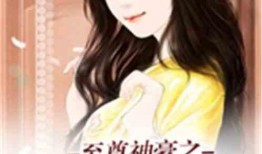 娱乐吃瓜酱叔叔小说,揭秘娱乐圈背后的秘密与八卦