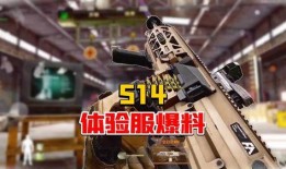 体验服最新爆料暗区突围,体验服新爆料揭秘神秘游戏世界